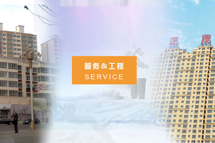服务&工程
